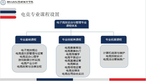電子競技運(yùn)動(dòng)與管理專業(yè)介紹 電子商務(wù)平臺開發(fā)及運(yùn)營方向